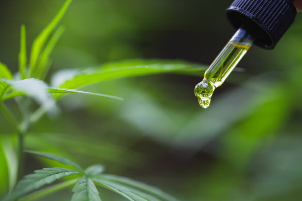 CBD Oil Vs Hemp Oil - What’s The Difference? – Five CBD